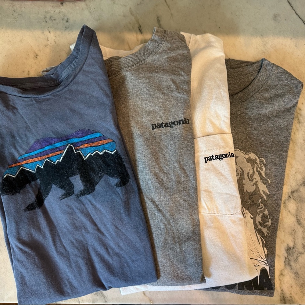 Patagonia Blue, Gray, and White T-Shirt Collection